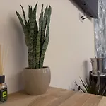 Gasthuis Il Cervo D'hotes