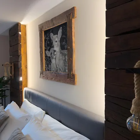 Guest house Il Cervo D'hotes