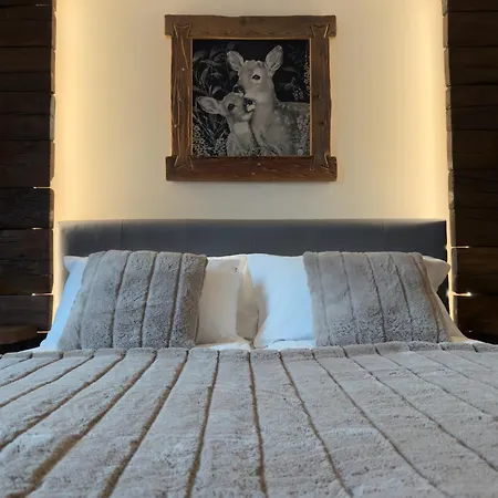 Il Cervo D'hotes 4* Aosta