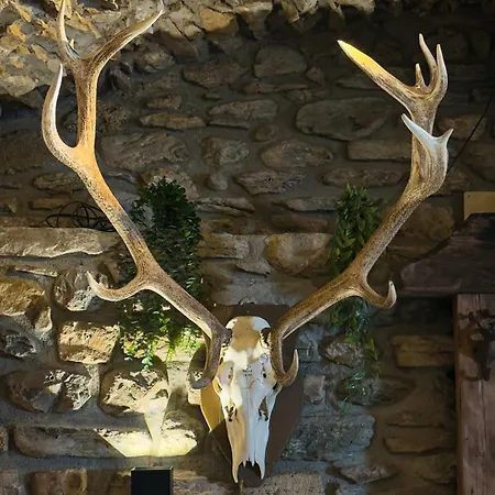 Il Cervo D'hotes Guest house 4*