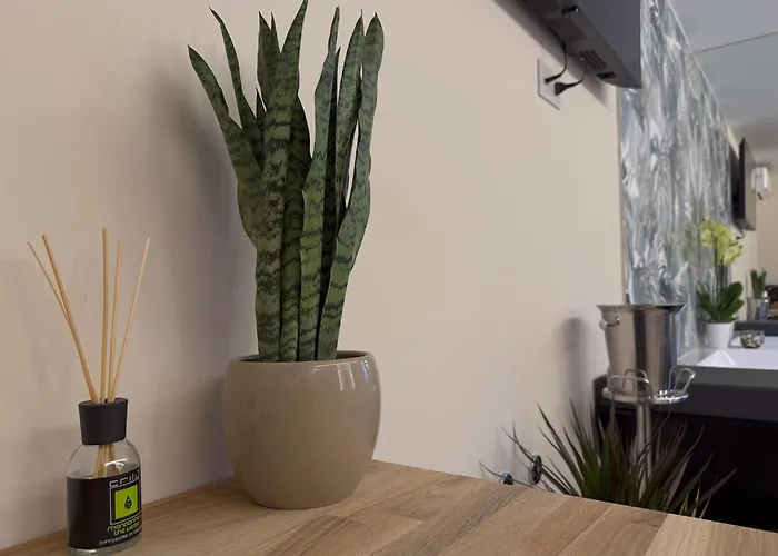 בית הארחה Il Cervo D'hotes